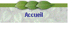 Accueil