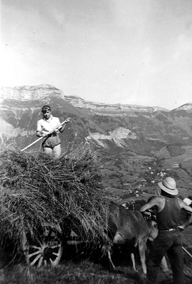 Annie sur le chariot  foin, avec Lulu. Derrire : le Margeriaz