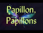 Papillon, papillons